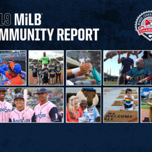 2019 MiLB Community Report